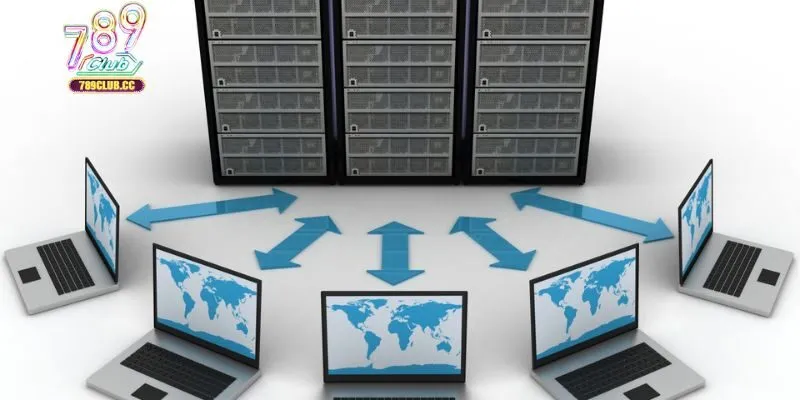 789club may chu o dau